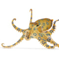 Will octopus hurt you?